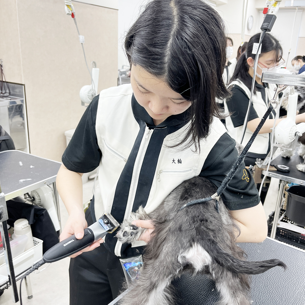 ２年生のトリミング実習♪